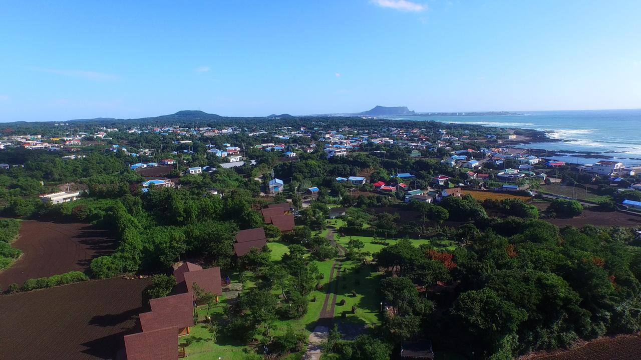 西归浦市济州比尔木质旅馆别墅 外观 照片